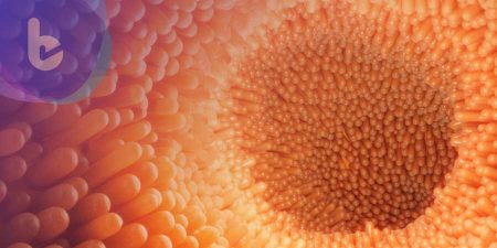 Scientific reports：有關結直腸癌預後，免疫療法新研究