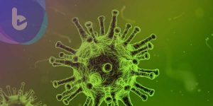 中國科學家發表：新型冠狀病毒進化來源與傳播機制