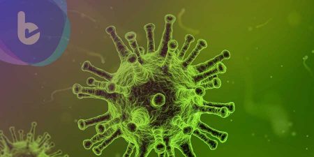 中國科學家發表：新型冠狀病毒進化來源與傳播機制