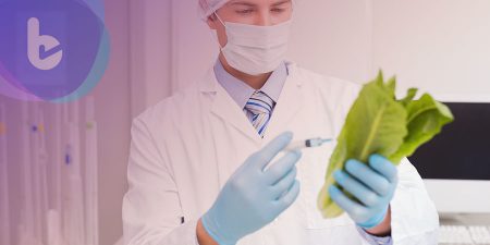 美科學家: 在萵苣中培養的關鍵物質有望加速糖友骨折癒合