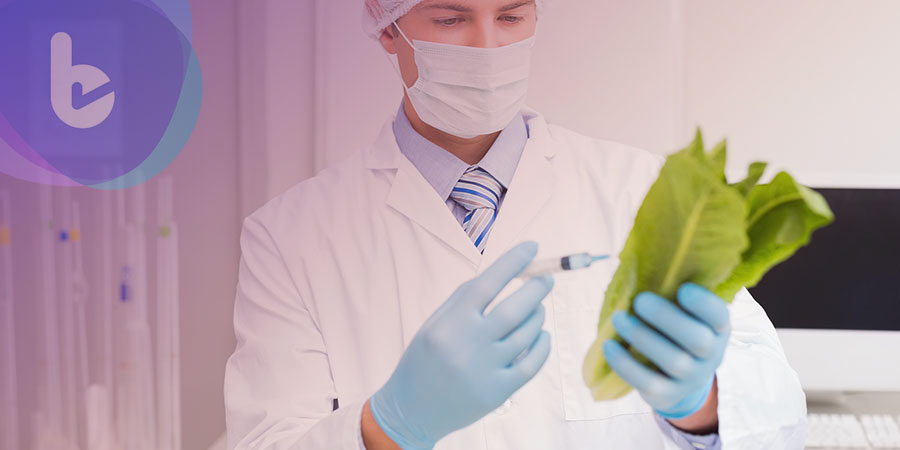 美科學家: 在萵苣中培養的關鍵物質有望加速糖友骨折癒合