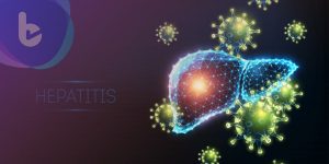 科學家識別出特殊記憶NK細胞 有望幫助改善抵禦乙肝病毒感染的疫苗和療法策略
