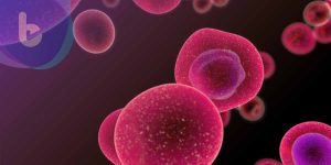 Cell：腸道發炎和口腔健康有密切關聯