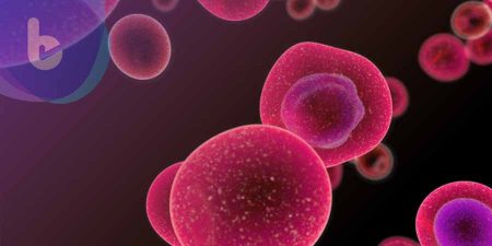 Cell：腸道發炎和口腔健康有密切關聯