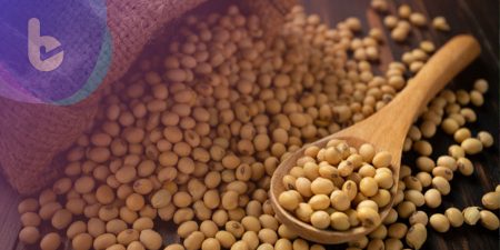科學家揭開大豆的迷思【下】