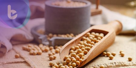 科學家揭開大豆的迷思【上】
