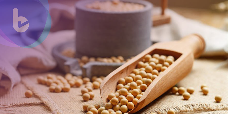 科學家揭開大豆的迷思【上】