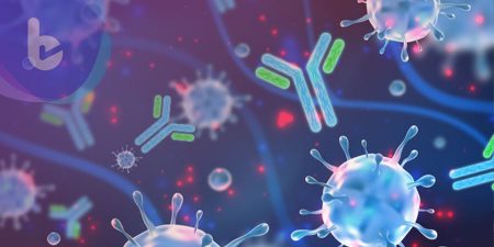 外科學家發現，一個能促進抗體產生的特殊蛋白