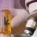 外研究發現：Cannabidiol對於人類在醫學及健康無害且有益