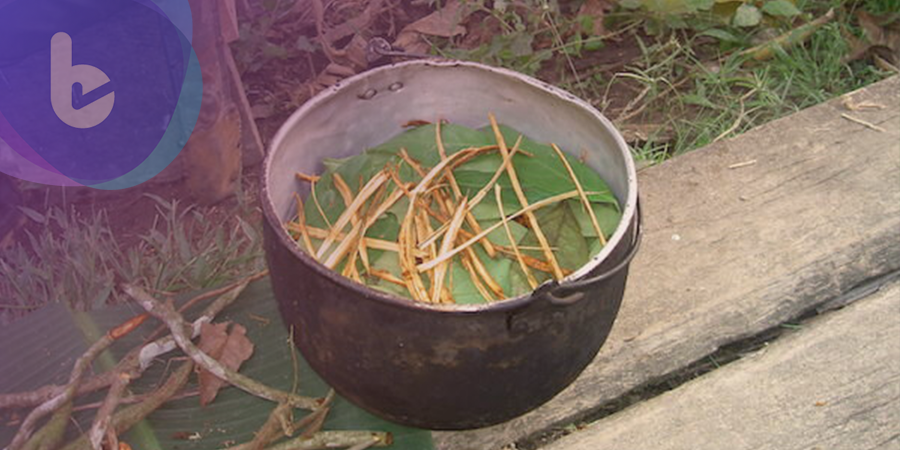 西班牙研究：有種特殊的茶能刺激新神經元的生長！