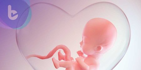 羊水染色體晶片   遺傳諮詢所扮演的功能與角色